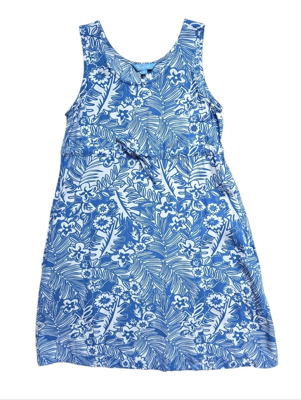 Blue Ginger • Sleeveless Dress